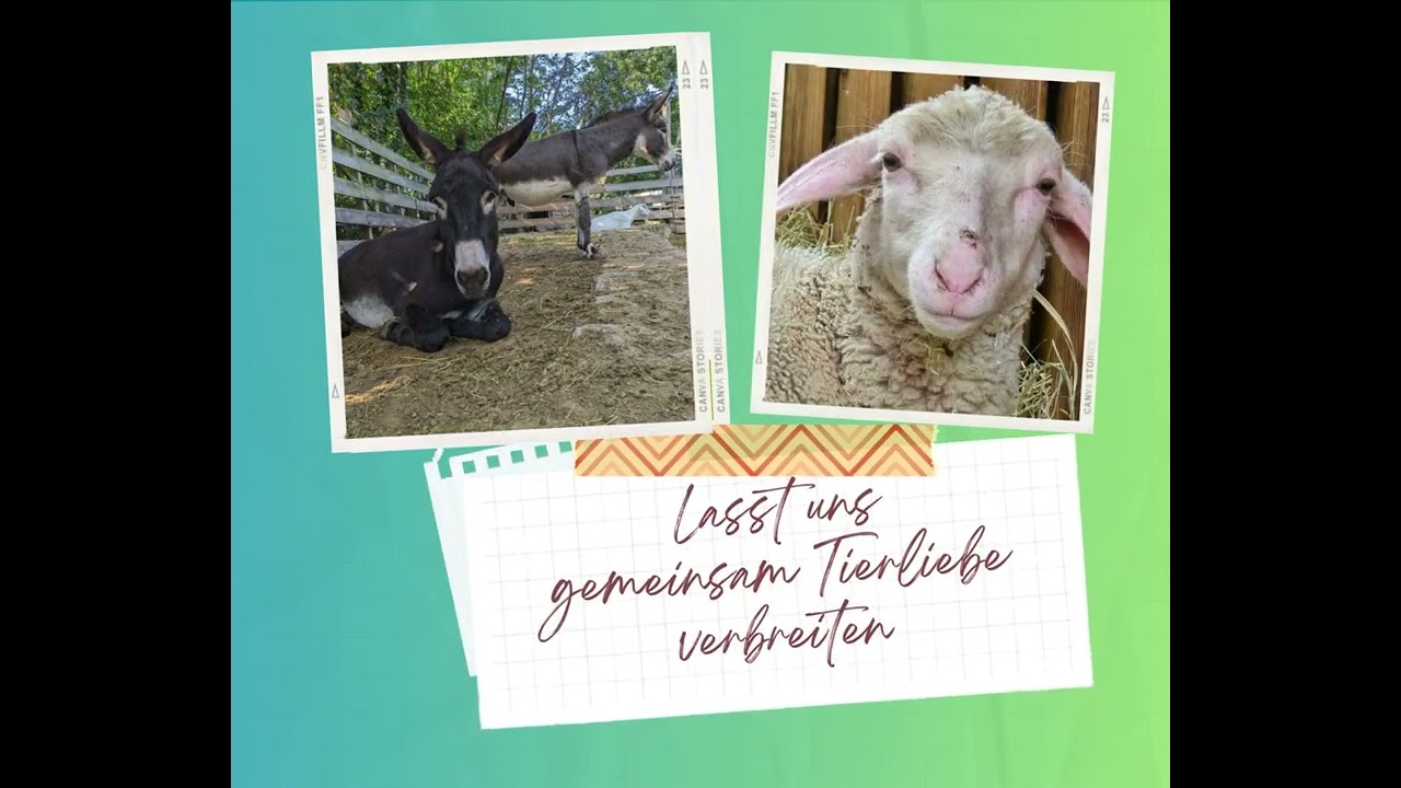 🐾Deine wöchentliche tierische Inspiration🐾