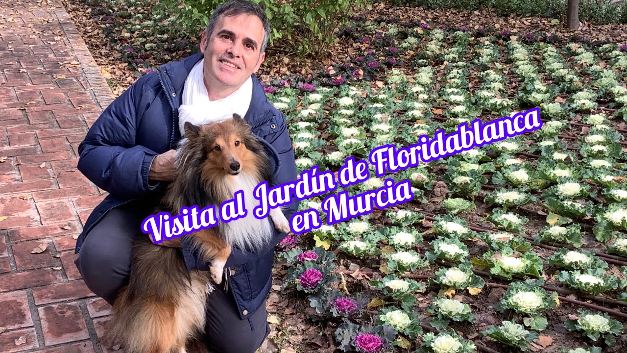 Visita al jardín de Floridablanca en Murcia CAP 239