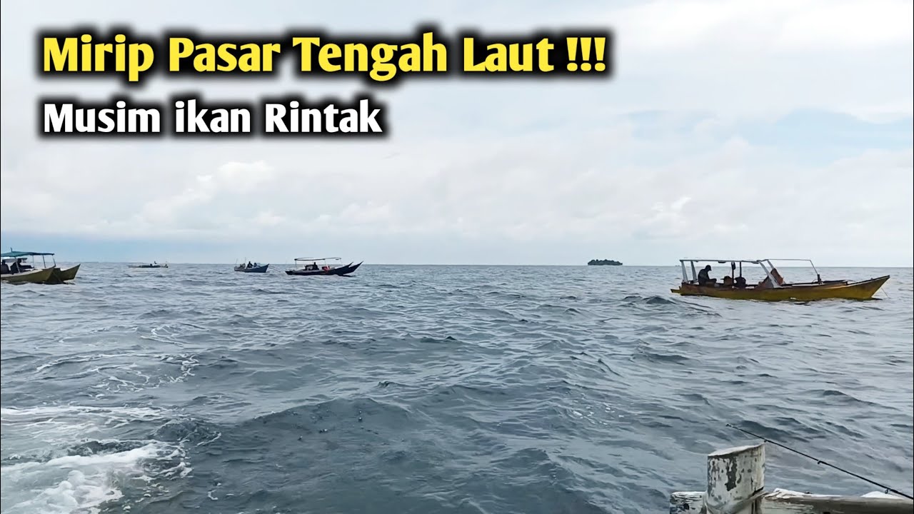 Teknik Rintak 10 LB !!! Mancing Makassar Panen ikan Dapur