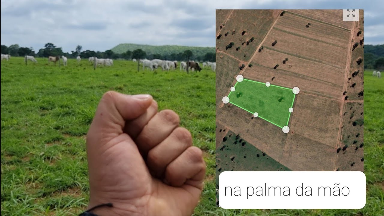 PRIMEIRO PASSO PARA DIVISAO DE PIQUETES! papo reto.