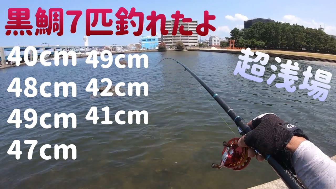 博多湾でヘチ・前釣りで黒鯛釣り41