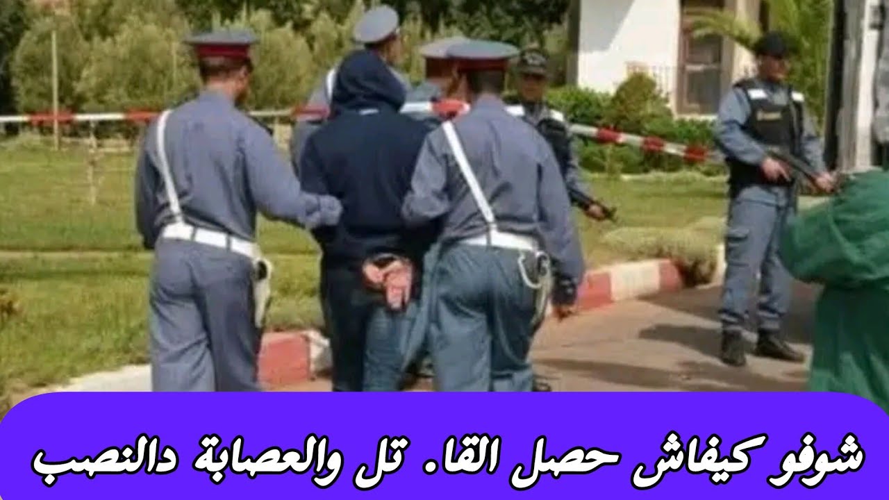 شوفو كيفاش حصل القا ... تل والعصا.... بة