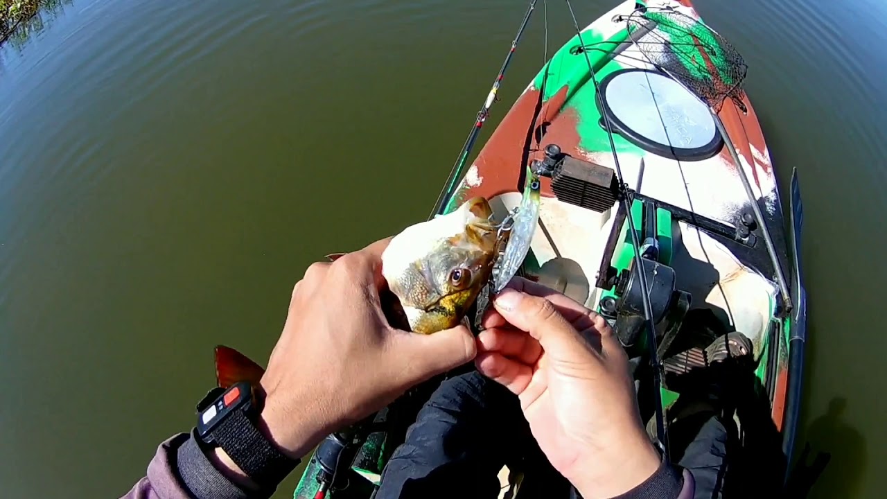 Isca destroyer 7.5 ser&aacute; que &eacute; boa?