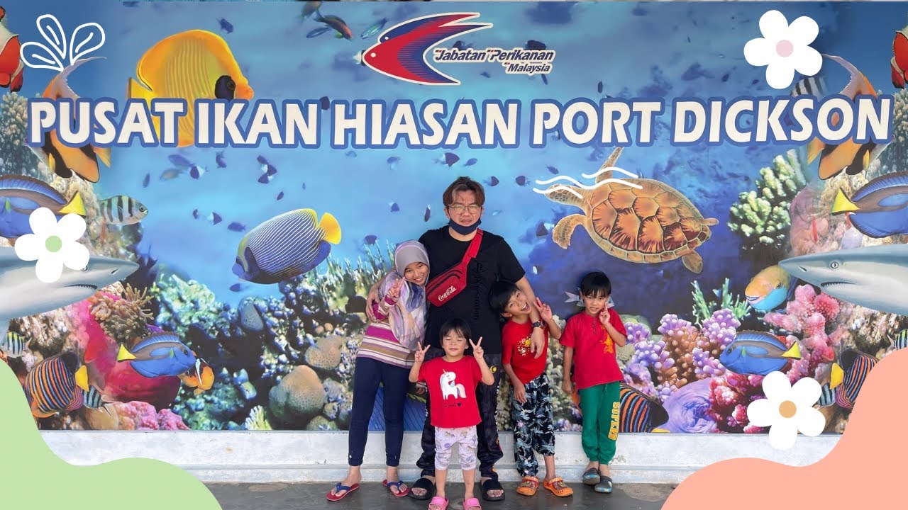 Pusat Ikan Hiasan Port Dickson. Ada ikan batu, ikan tapak kasut, batu karang dll. MASUK FREE!!!