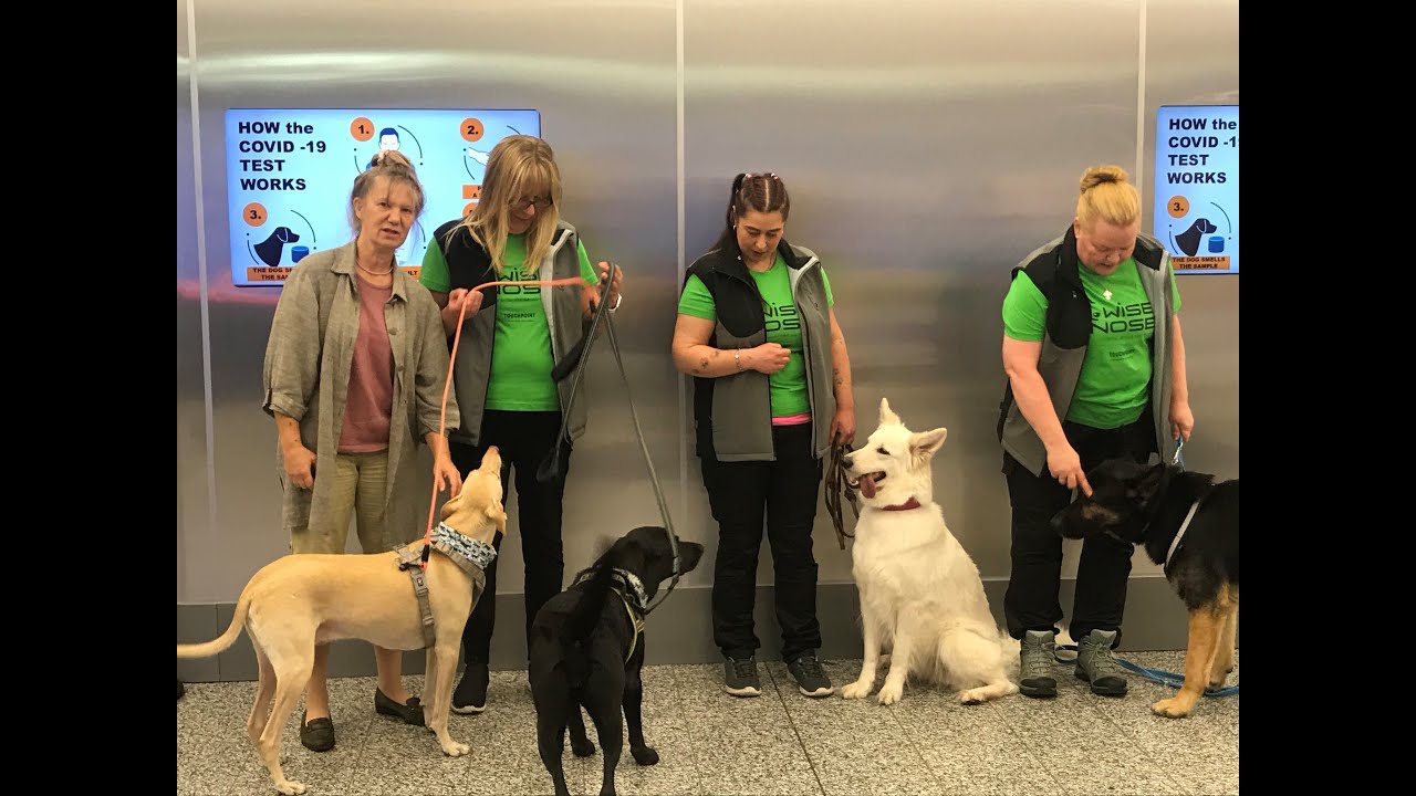 Join us and support COVID-19 sniffer dog research
