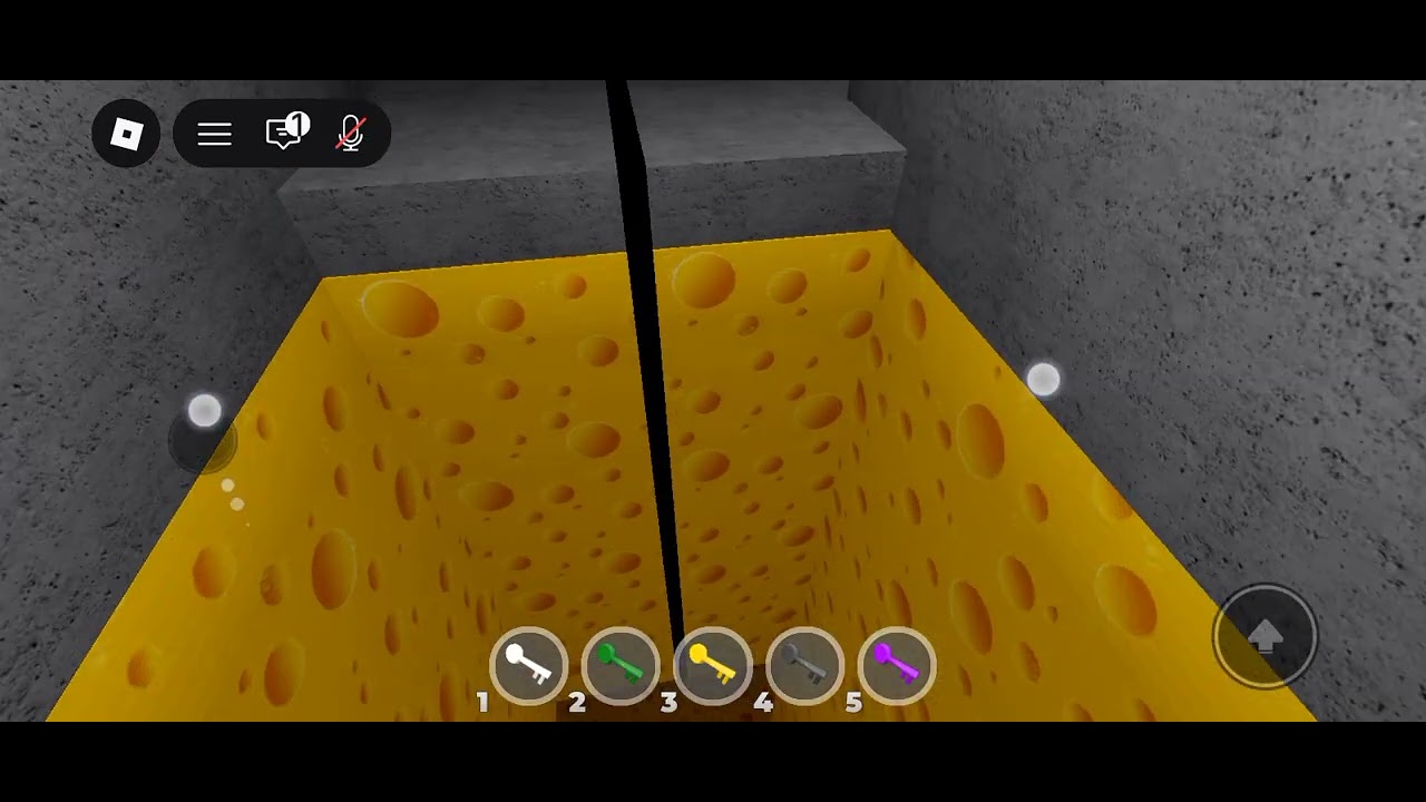 Nunca le den un regalo a la rata