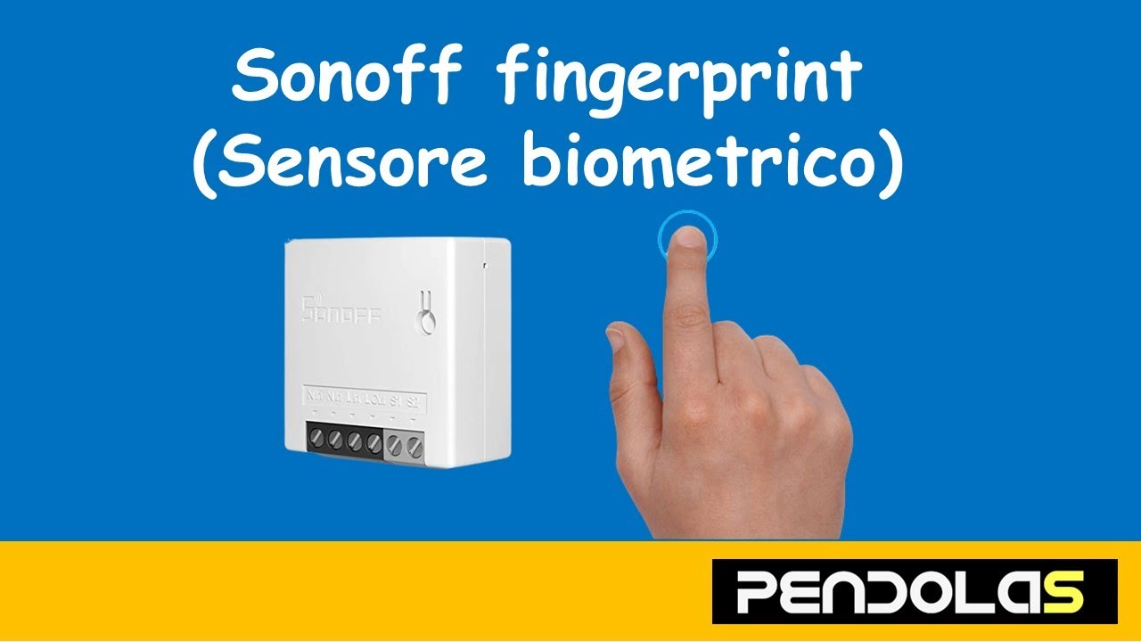 Sonoff Fingerprint (Impronta digitale) Con Risposta di accesso. 🇮🇹
