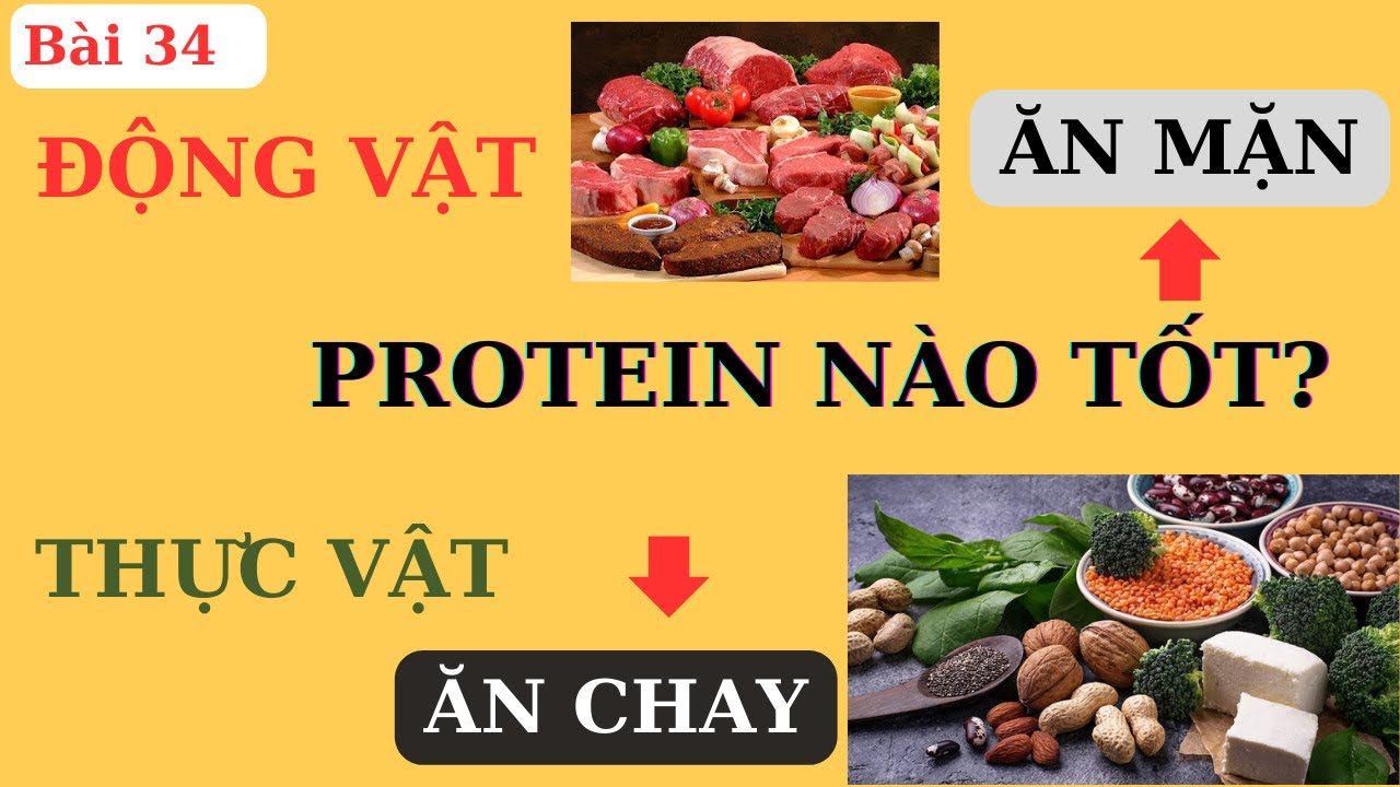 ĂN CHAY, ĂN MẶN, PROTEIN ĐỘNG VẬT, PROTEIN THỰC VẬT ăn sao cho đúng | Ds Nguyễn Quốc Tuấn