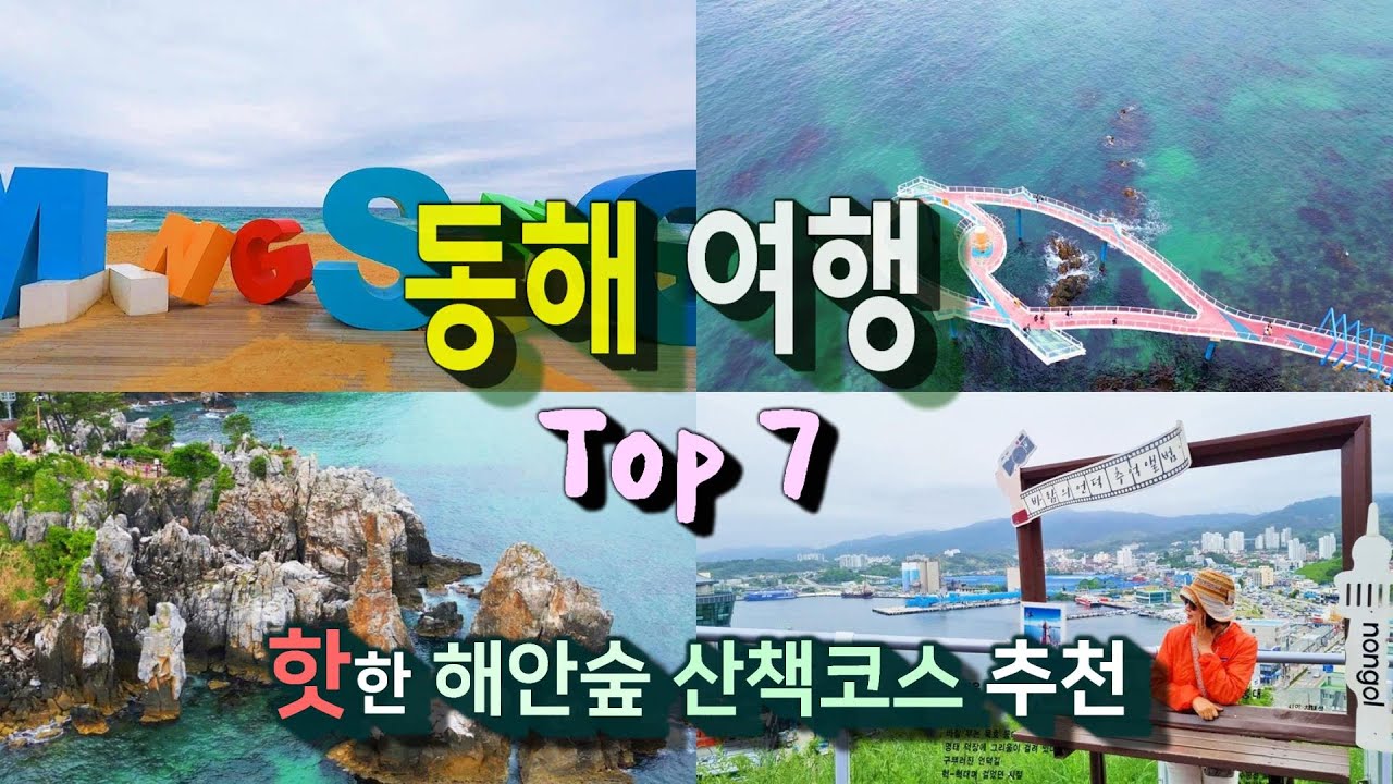 동해여행 추천지 7곳ㅣ뜨고 있는 해안숲 트레킹 코스ㅣ자세한 정보는 '더보기'에서 확인하세요.