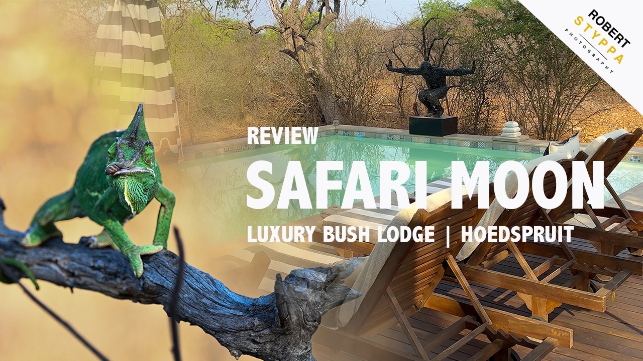 SAFARI MOON LODGE (SOUTH AFRICA): Stay where Tom Cruise Stayed in Hoedspruit for Mission Impossible