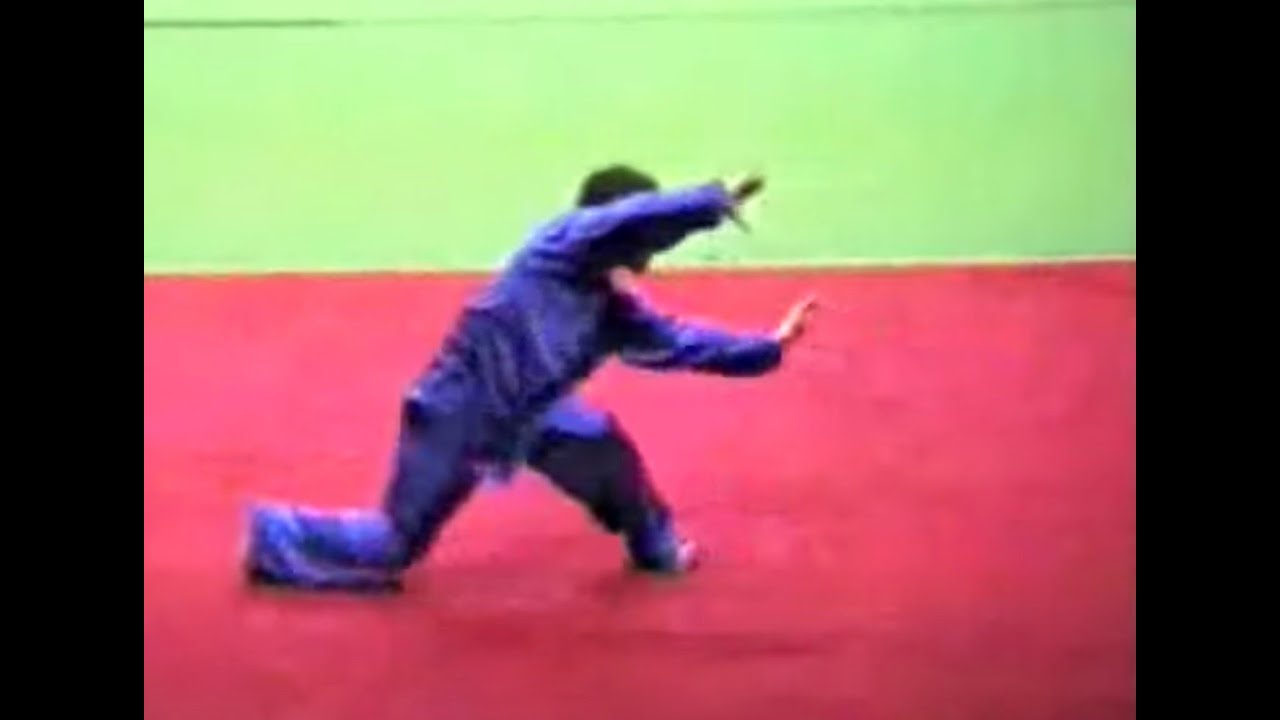 在日本的劈掛拳名家1990東京　pigua quan