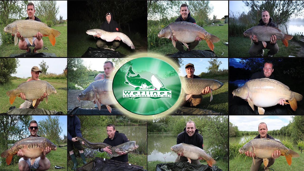 *** CARP FISHING*** Wetlines Best of 2019!!