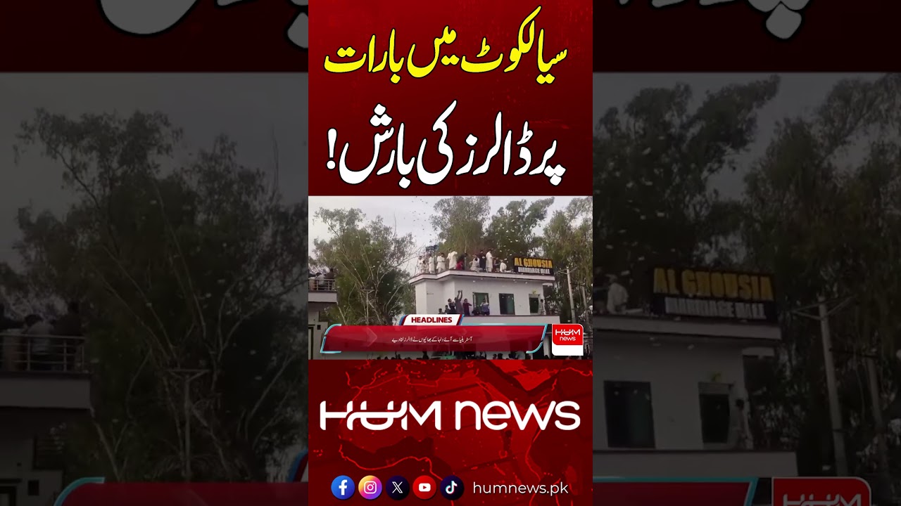 Dollars Thrown at Wedding in Sialkot! | Hum News | Pakistan