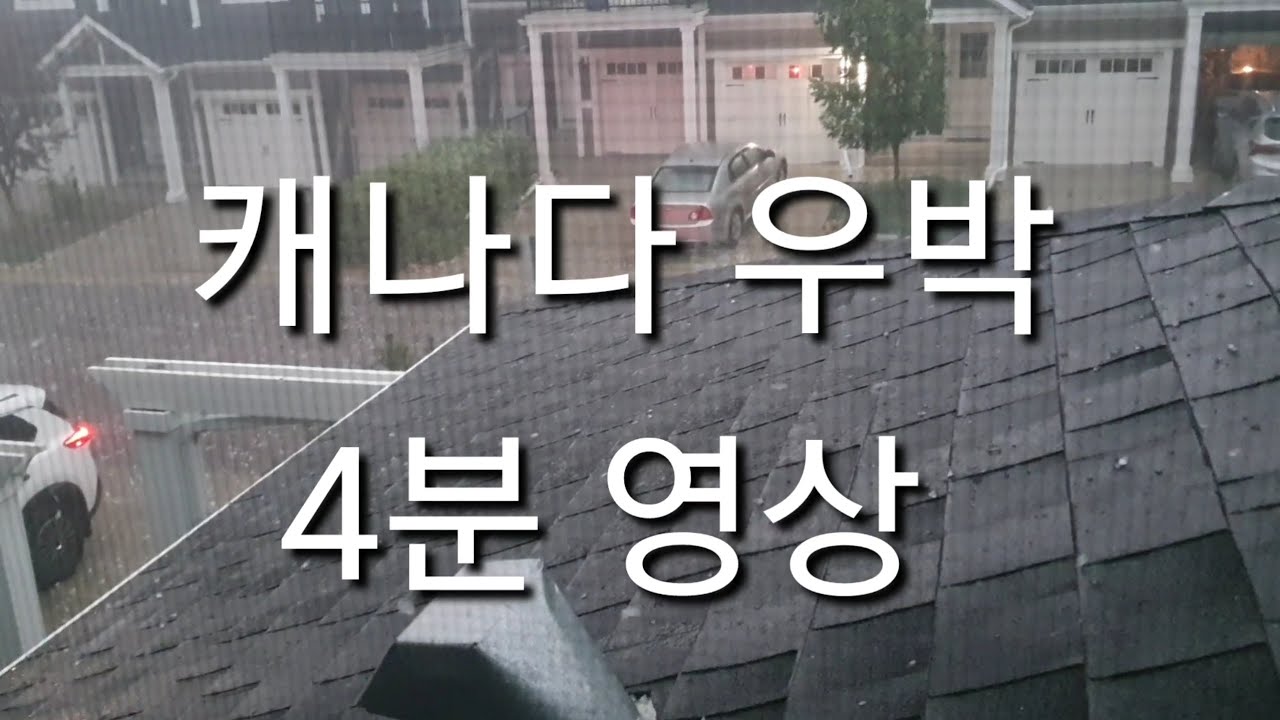 21. 캐나다 워홀 브이로그 🇨🇦 갑자기 우박이 쏟아짐