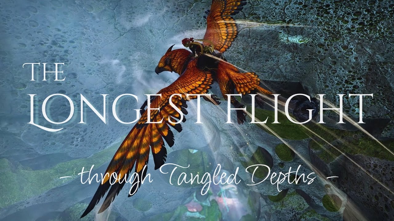 𝗧𝗵𝗲 𝗟𝗼𝗻𝗴𝗲𝘀𝘁 𝗙𝗹𝗶𝗴𝗵𝘁 𝘁𝗵𝗿𝗼𝘂𝗴𝗵 𝗧𝗮𝗻𝗴𝗹𝗲𝗱 𝗗𝗲𝗽𝘁𝗵𝘀 // Griffon Flying Music Video