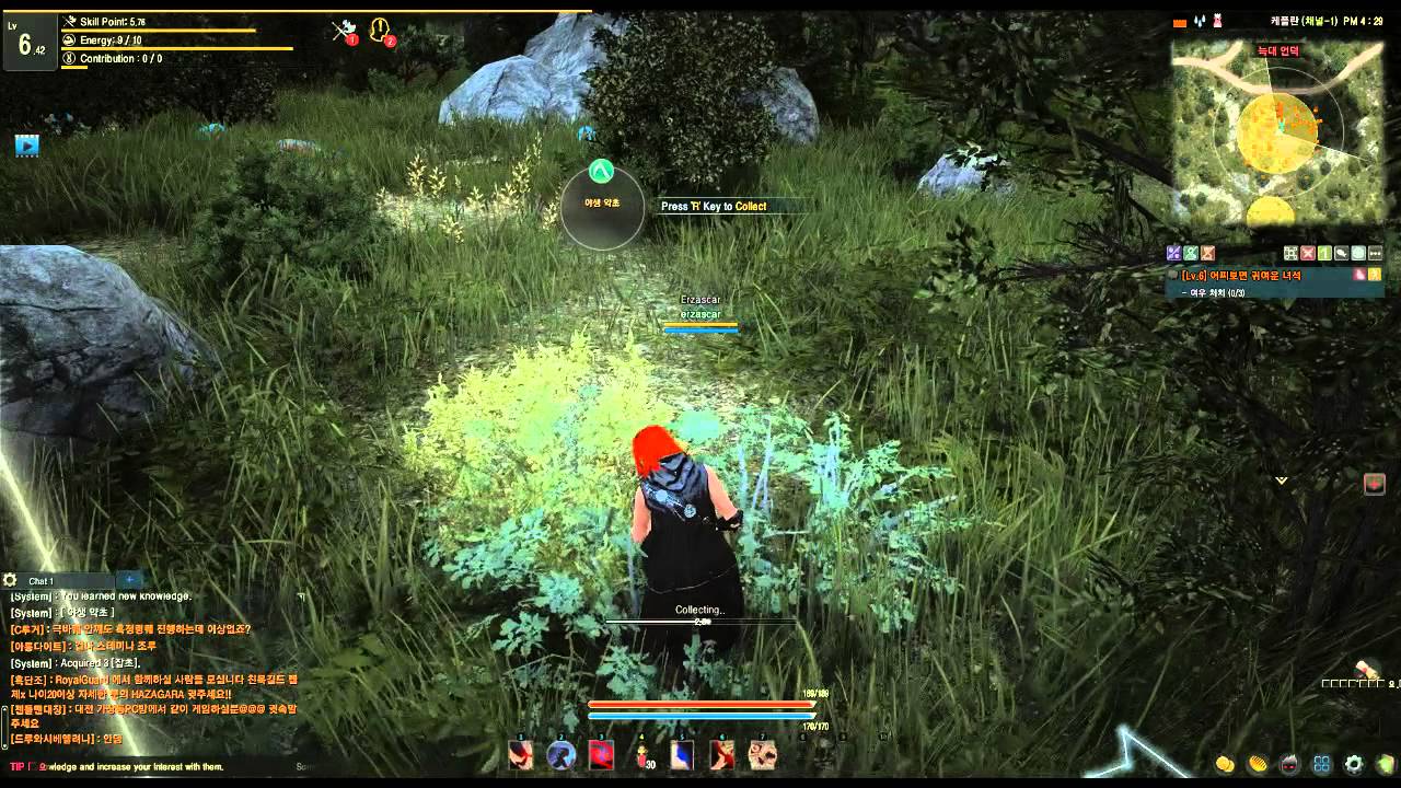 Black desert online with english patch by lokireborn