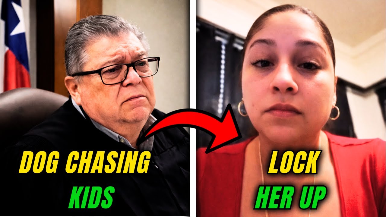 Judge DESTROYS Karen Who Let Dog Chase Neighbors 😱 WOW — Loses Big
