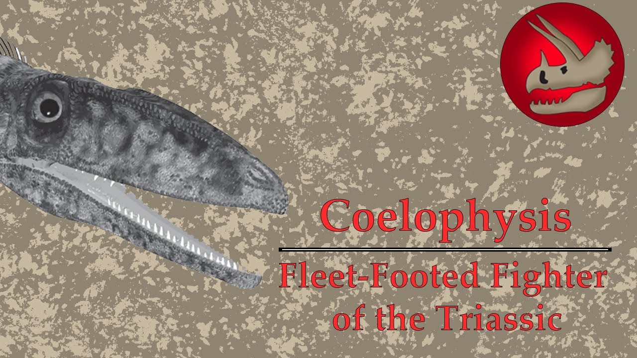 Coelophysis | The Fleet-Footed Fighter of the Triassic