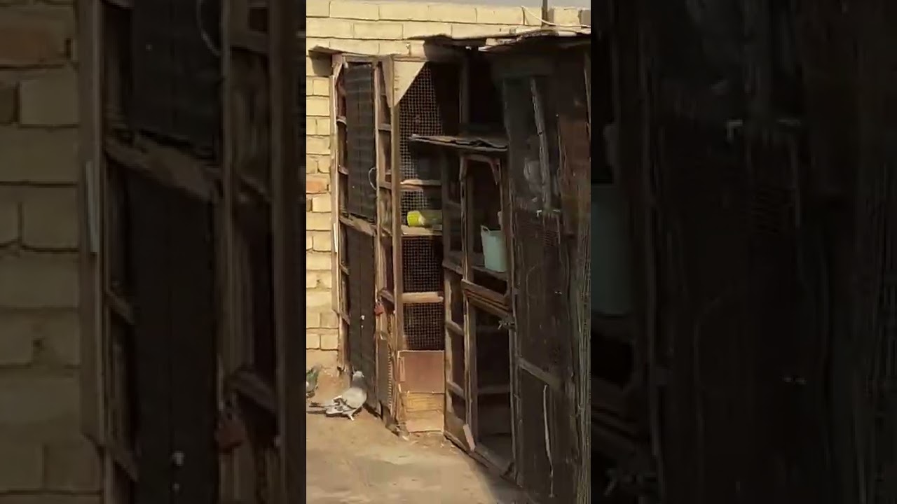 ٢ /٩/ ٢٠٢٢،  ابو زياد