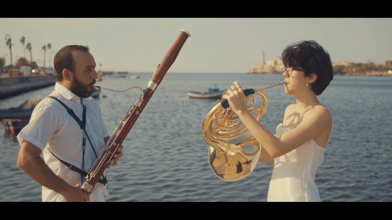 ✒️ George Philipp Telemann (1681-1767) | Canonic Sonata No.1 TWV 40:118| Vivace/ Adagio/ Allegro|