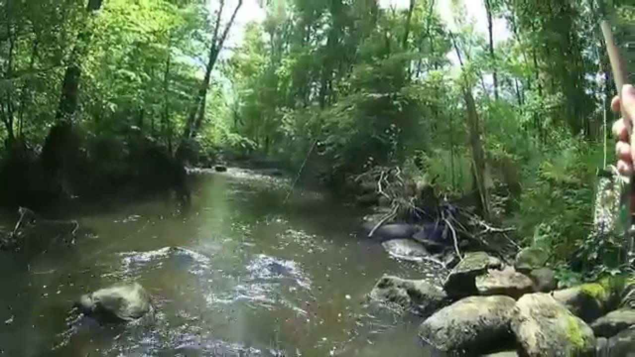 Fly fishing in a small Swedish river