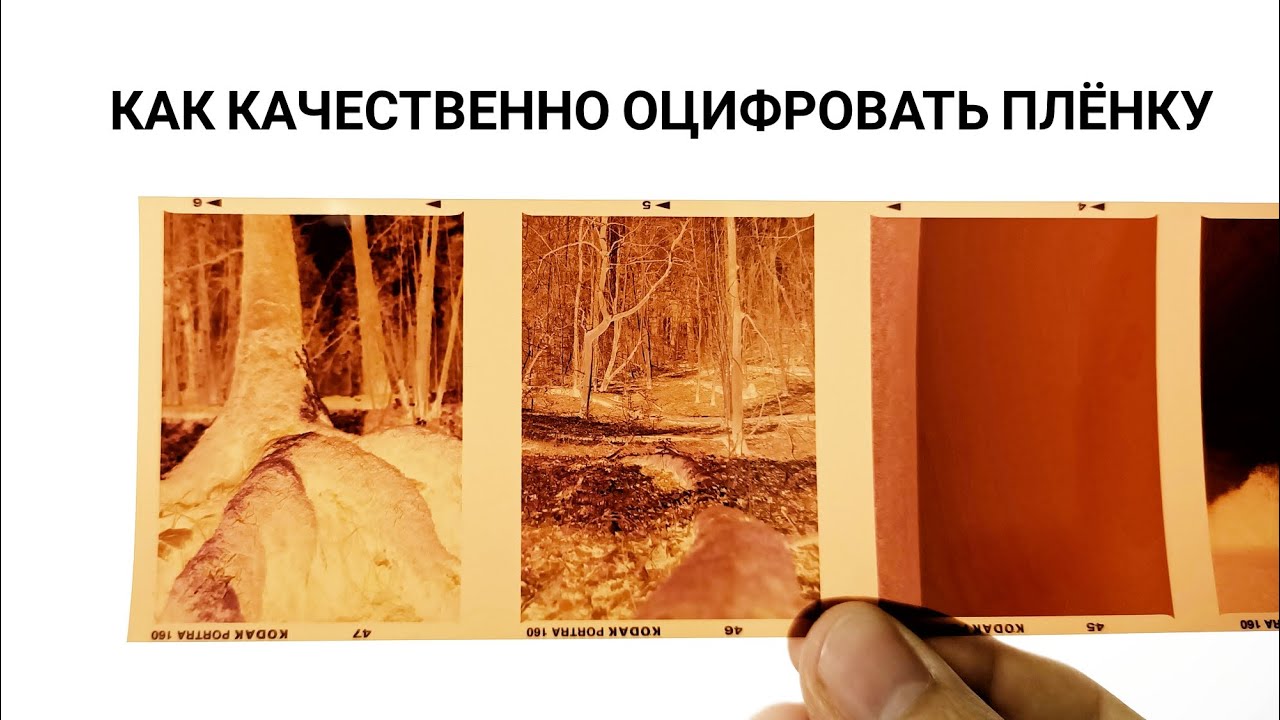 Как оцифровать плёнку? // Epson Scan & Negative Lab Pro