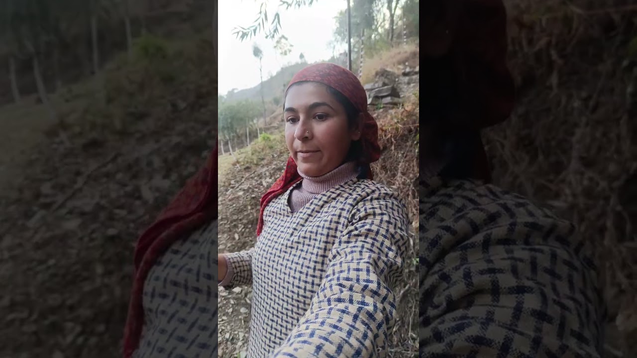 इन बंदरो का आतंक तो पाकिस्तान वालो से भी ज्यादा खतरनाक है 😲 #dailyvlog #youtubevideo #dailyupdates 