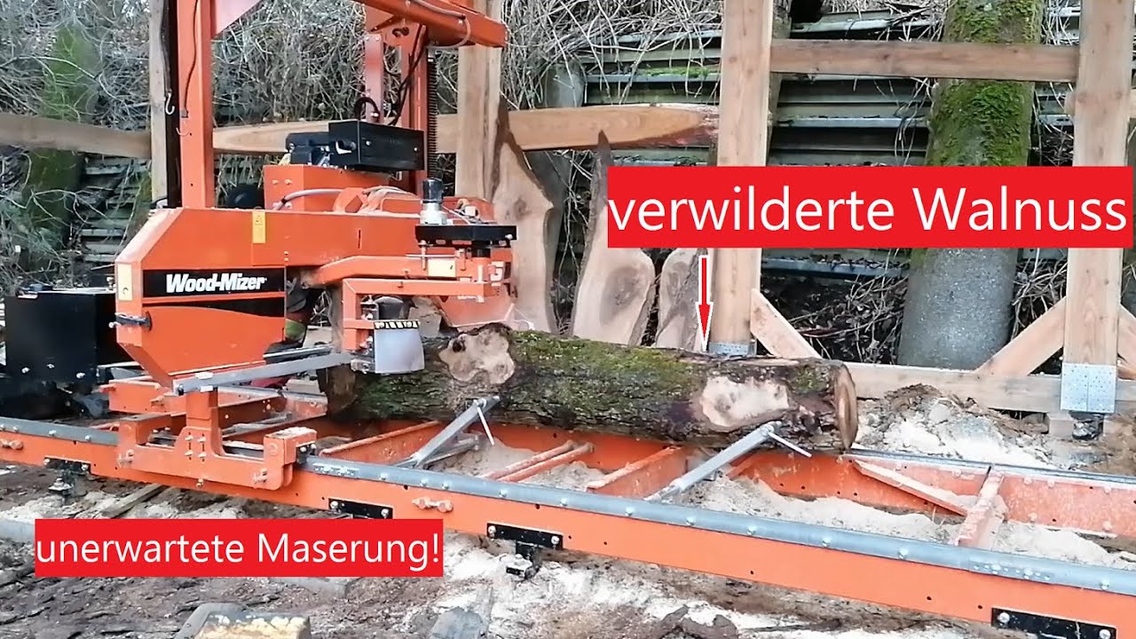 Wunderschöne Walnussbretter aus einem verwilderten Nussbaum! Walnuss aus der Krone auf dem Sägewerk!