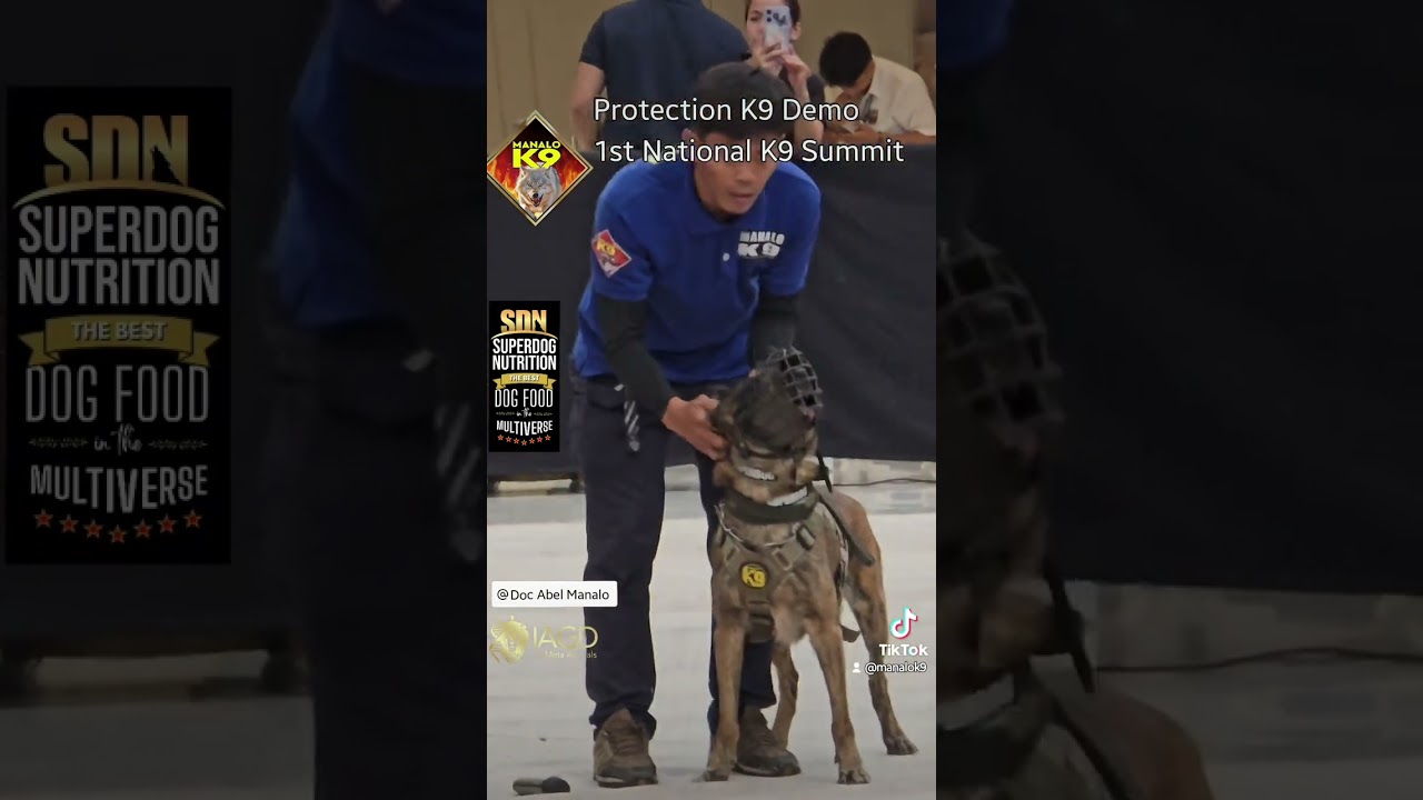 PROTECTION K9 DEMO - MANALO K9 - 1ST NATIONAL K9 SUMMIT