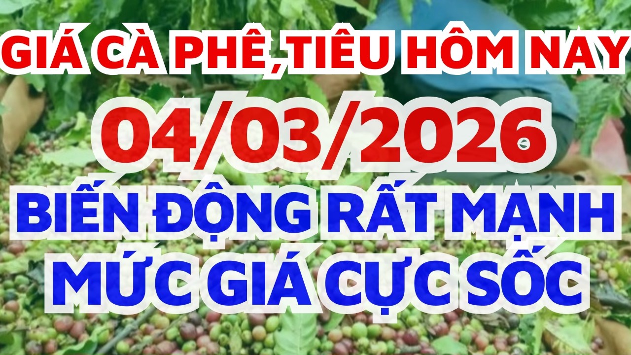 Giá cà phê hôm nay ngày 4/3/2026 GIÁ CỰC SỐC/giá hồ tiêu hôm nay/Bơ lang thang