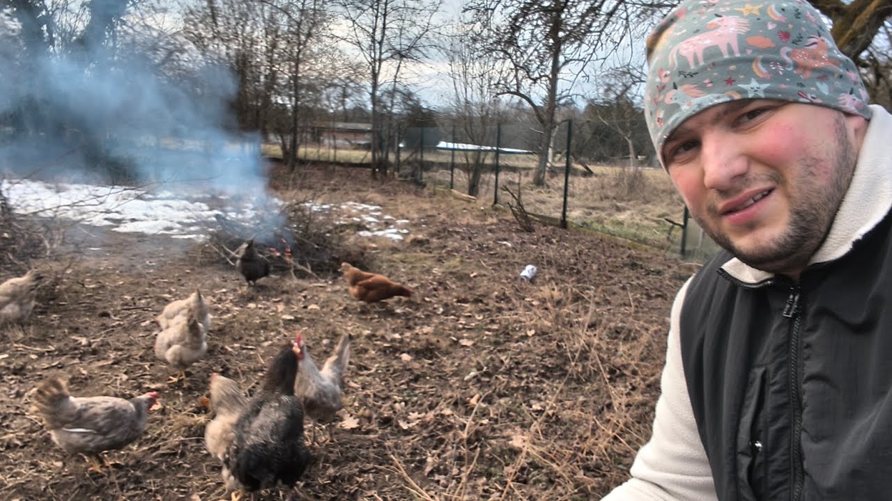 Curătare în gradină partea 3 în germania vine vine primăvara,🐔🐔🐔🐔