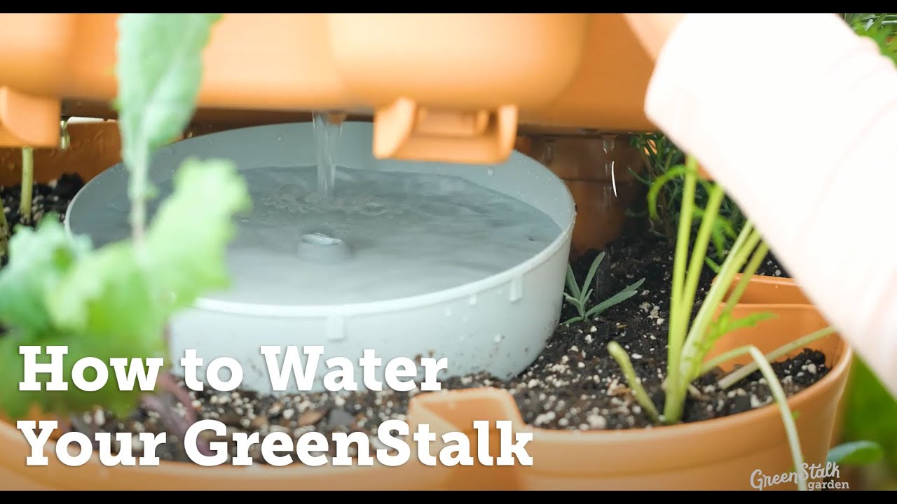 How To Water Your GreenStalk Vertical Planter Step By Step