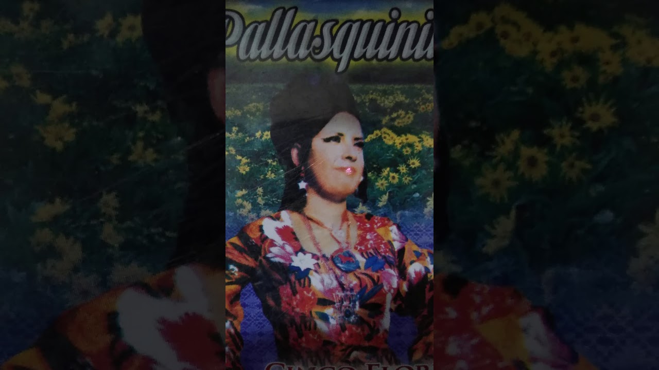 Amor de periodista  la pallasquinita huayno