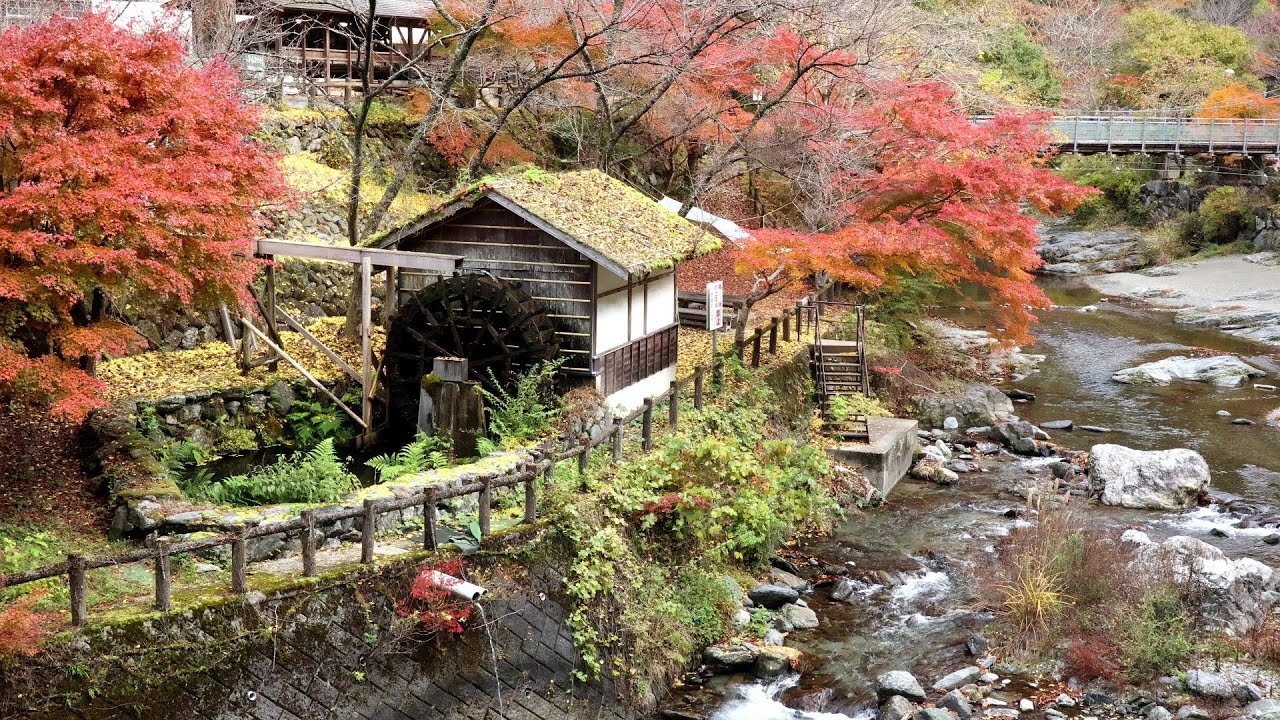 紅葉の東吉野村を歩く // Walking through Higashiyoshino village in autumn colors