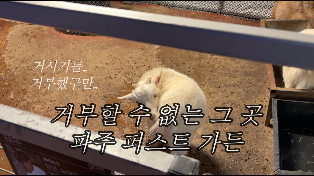 3월에도 메리 크리스마스 🎄파주 퍼스트 가든 | 2026.03.01