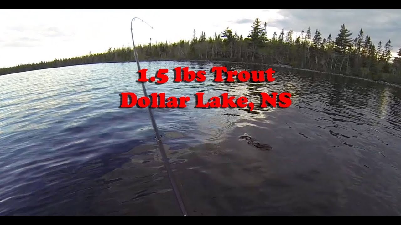 Wild Nova Scotia Big Trout