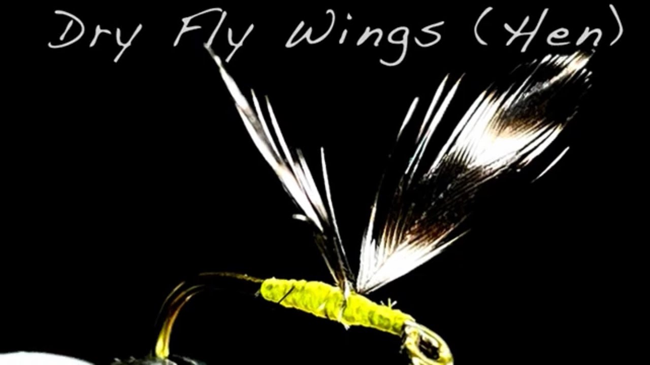 Setting Hen Dry Fly Wings