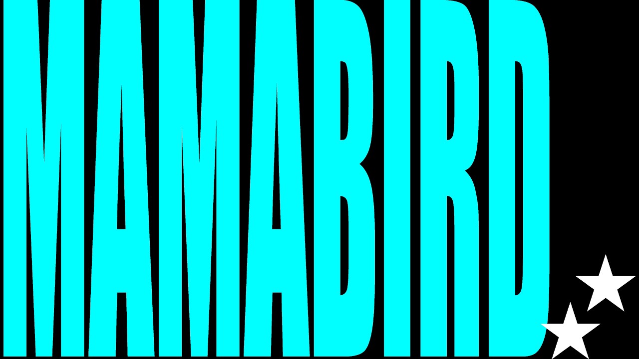 Mamabird 2025 reg