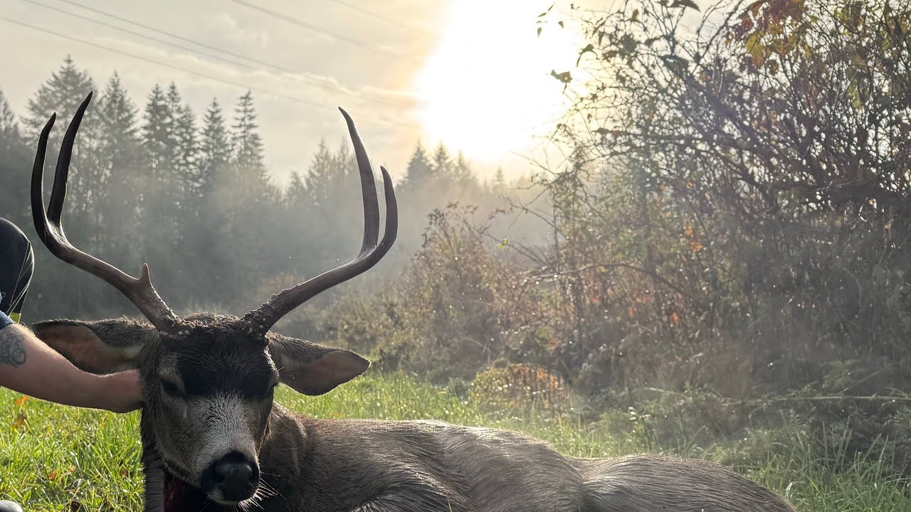 ~The Hunt For Coastal Blacktail~PART 2~ On This Weeks Adventure!!!!@SuperAdventureSunday