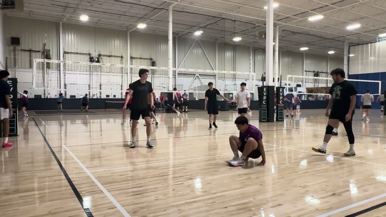 Apex vs PikaPals