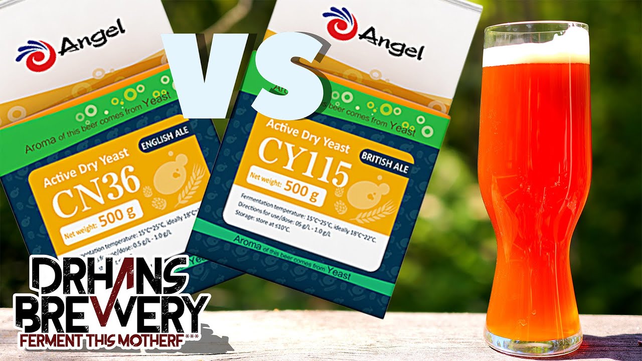 Brewing Yeasts Compared: Angel Yeast Cn36 Vs Cy115