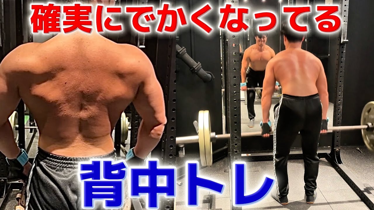 【ガチトレ】広く厚くなってきた背中のトレーニング教えます