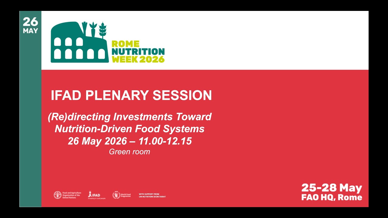 Day 2 - 26 May 2026 - HL Plenary Session - (Re) directing Investments [ES]