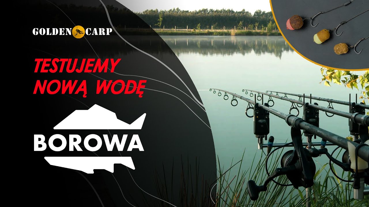 Łowisko Borowa - Co tutaj pływa?
