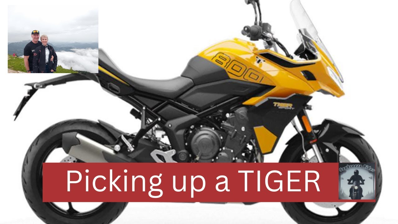 Picking up a Tiger