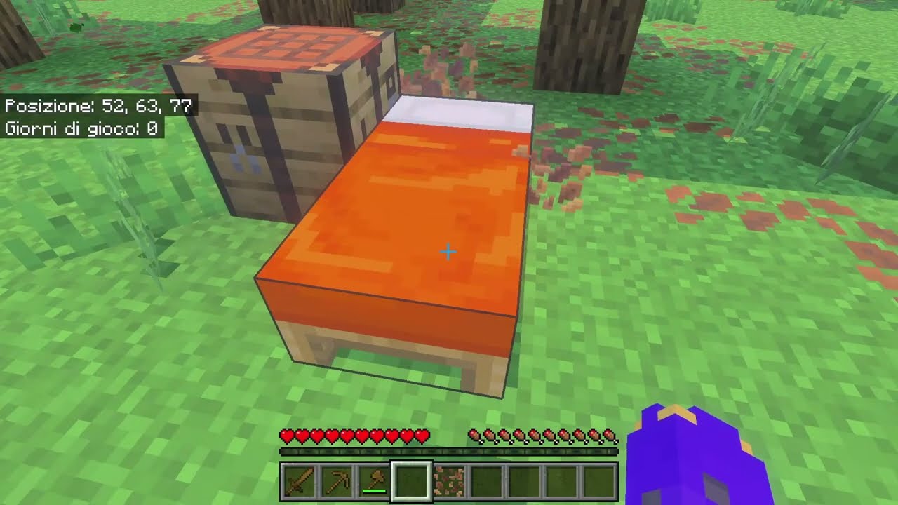 live di Minecraft: gioco con chi si iscrive!