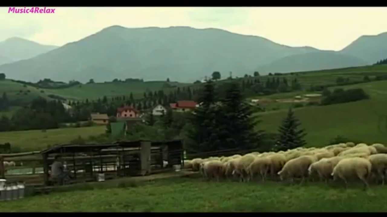 Fujara - Sounds of Poľana - Zvuky Poľany (Music4Relax)