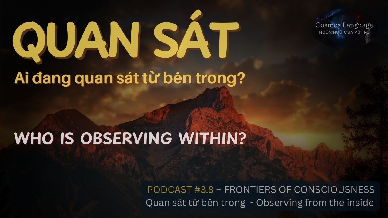 Frontiers of Consciousness – Season 3 | Observing from the Inside - Podcast 3.8 #cosmoslanguage