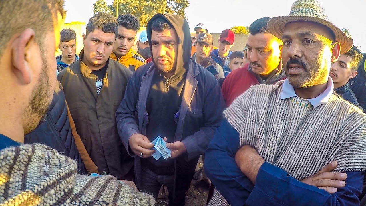 سوق الثلاثاء الخميسات رحبة عامرة حجرة وضوء العربي طويبة شرا عود زين من كساب دوز بيه الموسم او قنع