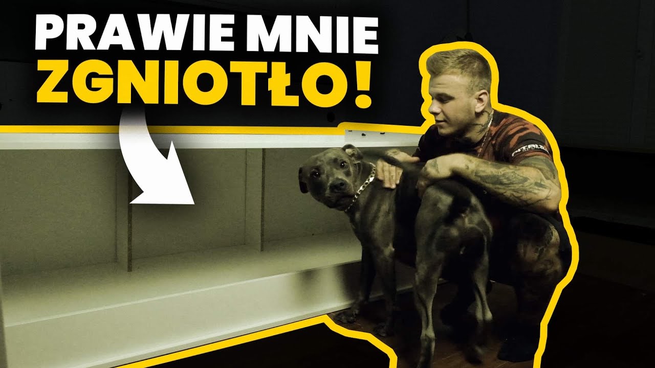 TERRARIUM WIELKOŚCI POKOJU!!! NA WIELKIEGO POTWORA